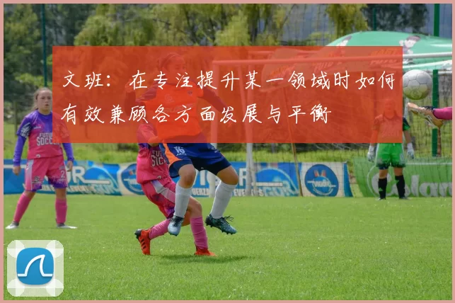 文班：在专注提升某一领域时如何有效兼顾各方面发展与平衡